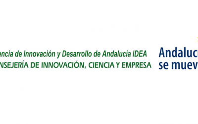 Ayudas en la Transformación Tecnológica de tu Empresa