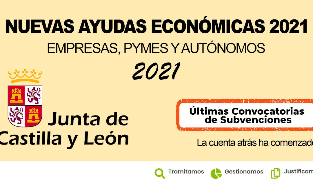 SUBVENCIONES EN CASTILLA Y LEÓN DESTINADAS A FINANCIAR PROYECTOS EMPRESARIALES DIRIGIDOS A FAVORECER LA INCORPORACIÓN DE LAS TIC EN LAS PYMES