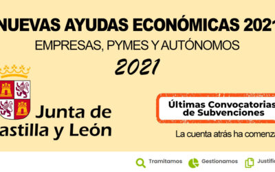 SUBVENCIONES EN CASTILLA Y LEÓN DESTINADAS A FINANCIAR PROYECTOS EMPRESARIALES DIRIGIDOS A FAVORECER LA INCORPORACIÓN DE LAS TIC EN LAS PYMES