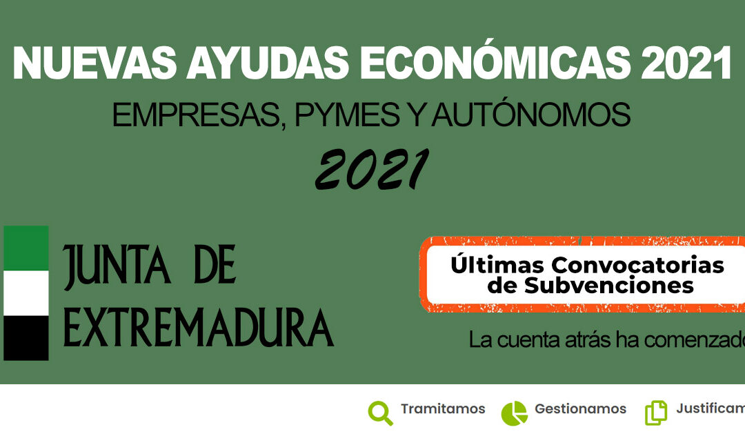 INCENTIVOS AUTONÓMICOS A LA INVERSIÓN EMPRESARIAL EN EXTREMADURA