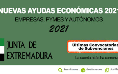 INCENTIVOS AUTONÓMICOS A LA INVERSIÓN EMPRESARIAL EN EXTREMADURA