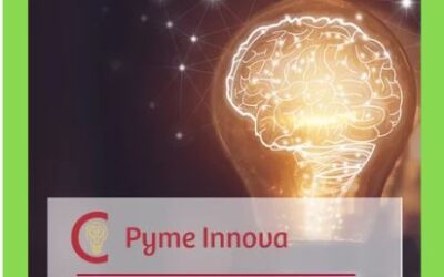 Nueva Ayuda Cámara de Comercial de Almería – Pyme Innova