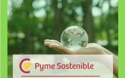 Nueva Ayuda Cámara de Comercial de Almería – Pyme Sostenible